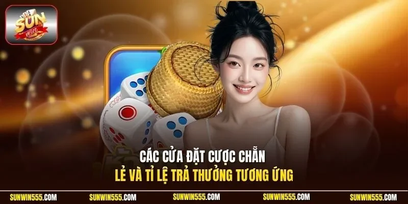 Các cửa đặt cược chẵn lẻ và tỉ lệ trả thưởng tương ứng